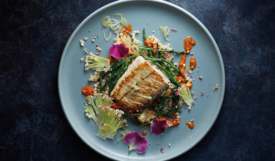 Chefs Culinar GmbH