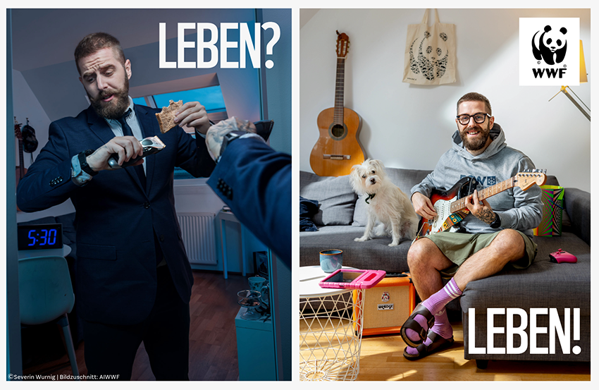 Jobs bei AIWWF